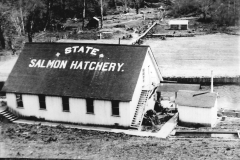 salmon hatchery photo for Karen